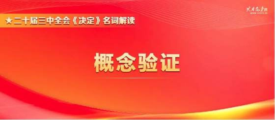 二十届三中全会《决定》名词解读 | 概念验证